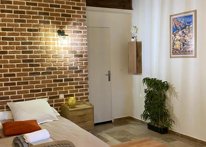 Apartment Tres Beau Avec Terrasse *
