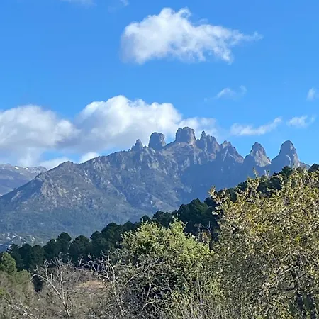 דירה Tres Beau Avec Terrasse זונזה