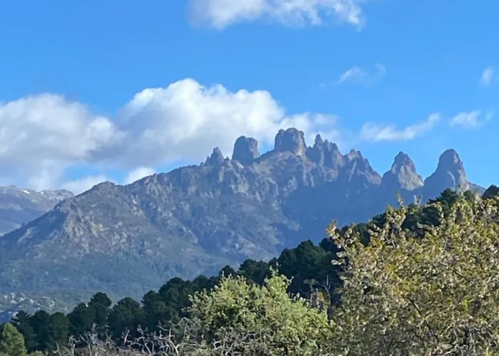 Daire Tres Beau Avec Terrasse Zonza