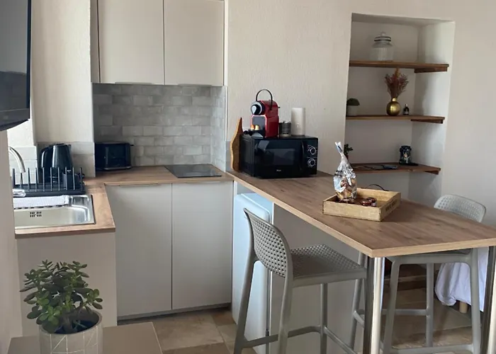 Tres Beau Avec Terrasse Daire Zonza